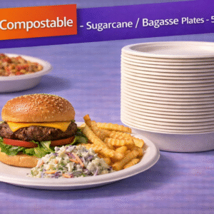 9" Compostable Sugarcane / Bagasse Plates - 500/Case by Patel Sales