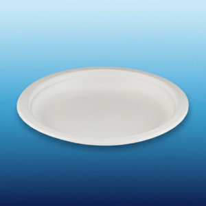 10" Round Compostable Sugarcane / Bagasse Plates - 500/Case